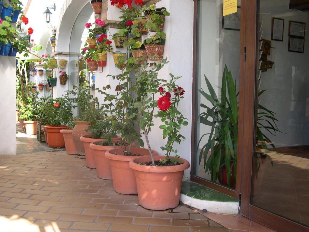 Hotel Cortijo Los Gallos Chiclana de la Frontera Bagian luar foto